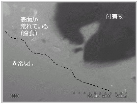 特性X線マップ像