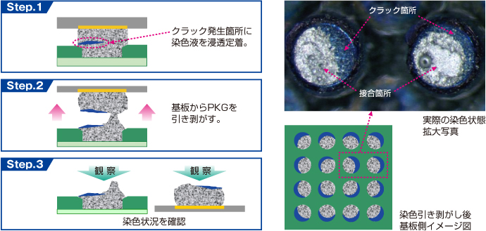 染色試験（Dye & Pry Test）